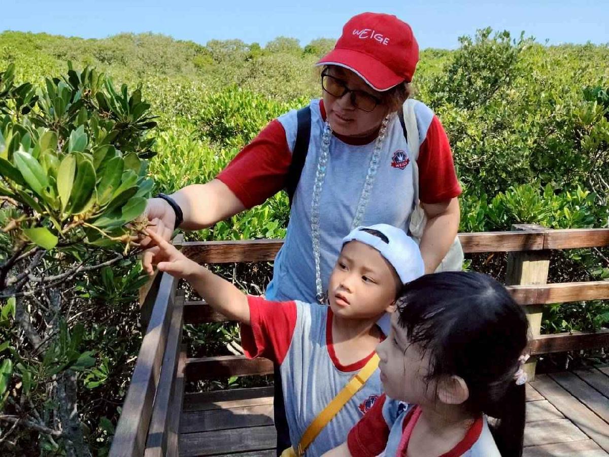 114.10.13-大班戶外教學-新豐紅樹林之旅