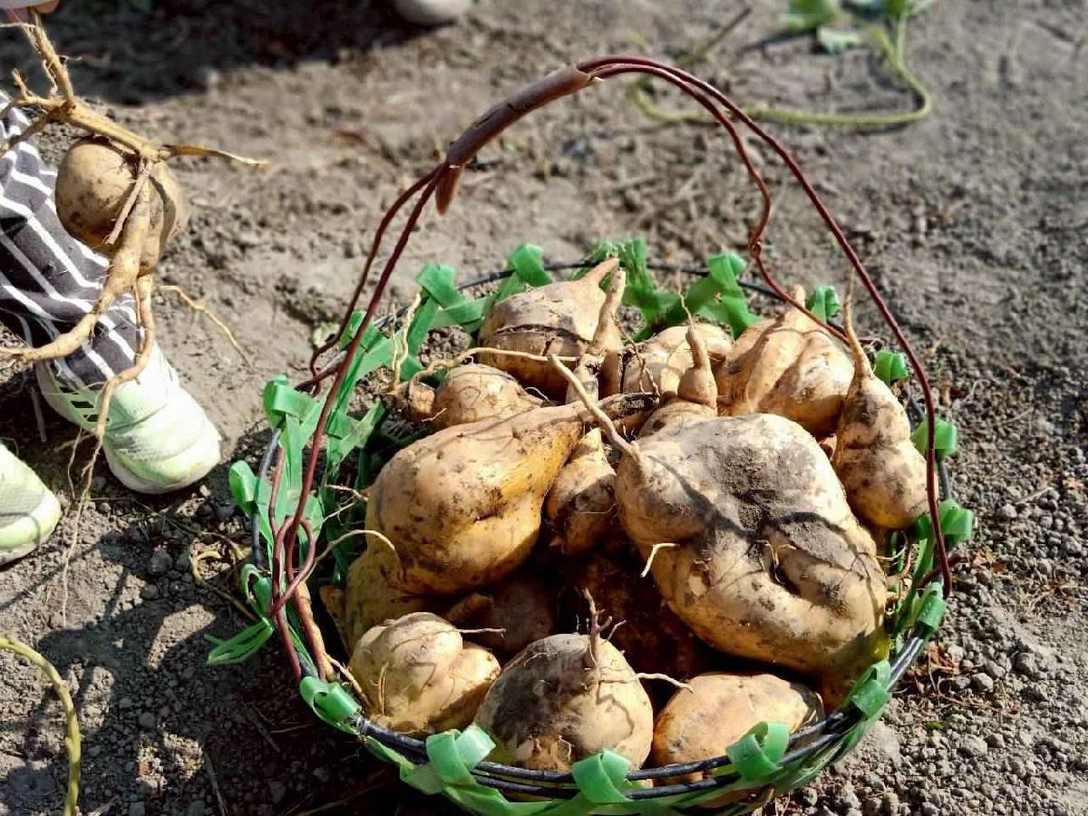 line_album_20250109喔~~罕吉_260109_14