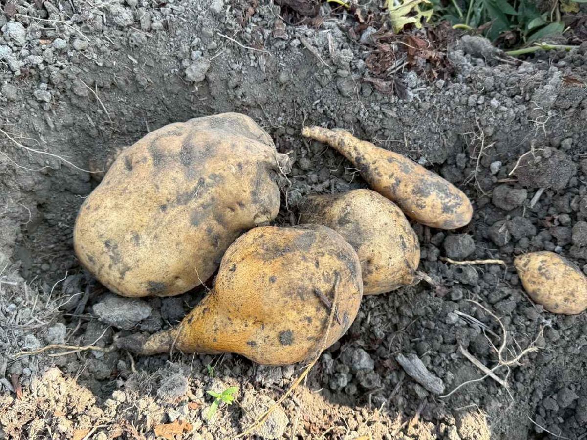 line_album_20250109喔~~罕吉_260109_46