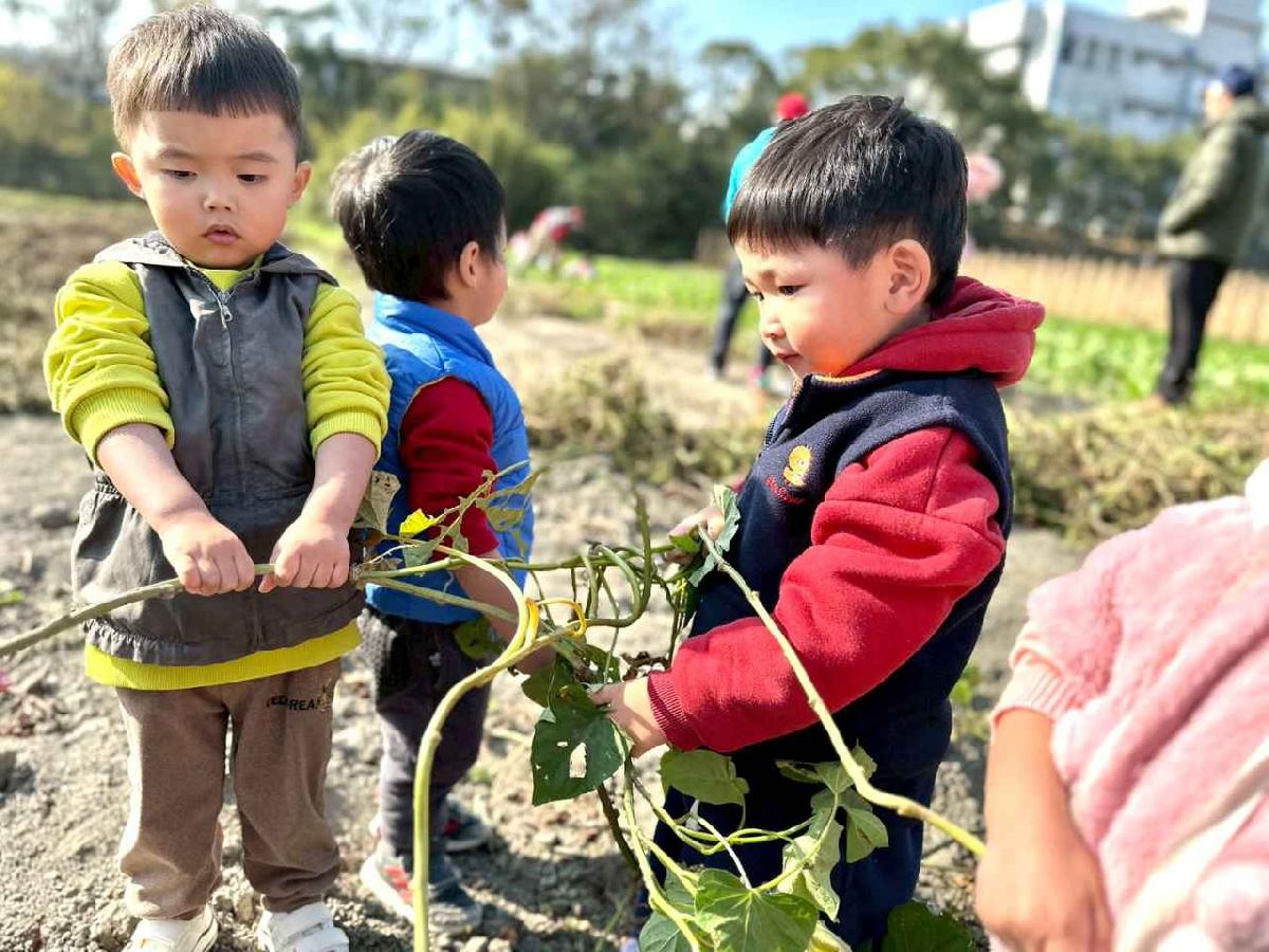 line_album_幼幼挖地瓜精選_260109_5