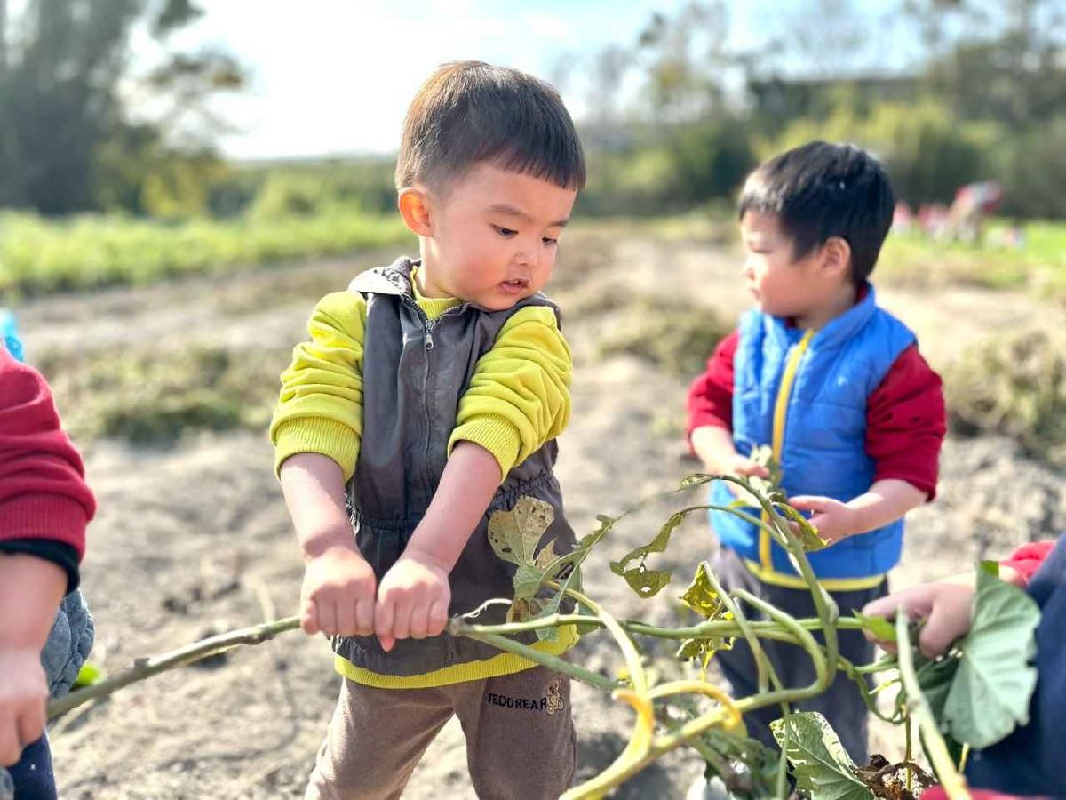 line_album_幼幼挖地瓜精選_260109_6