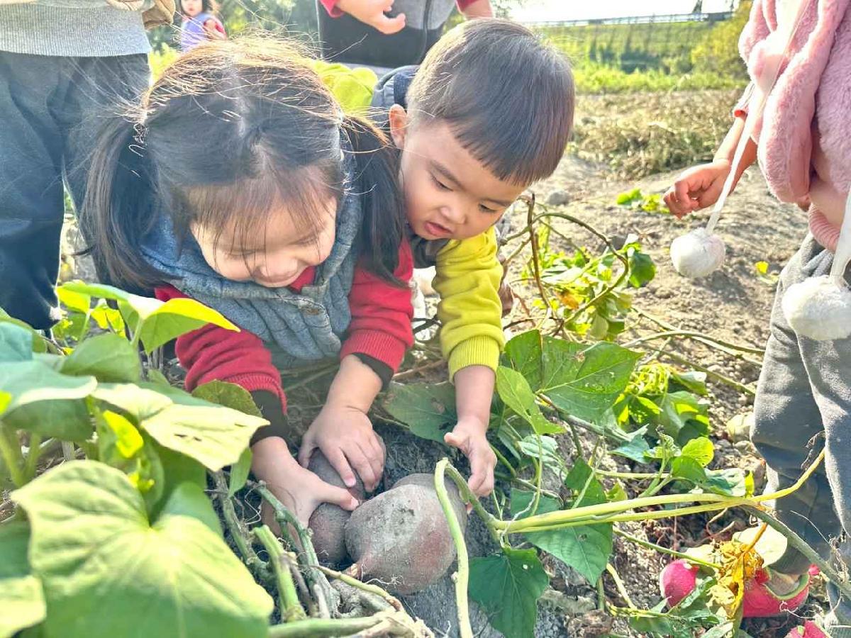 line_album_幼幼挖地瓜精選_260109_7