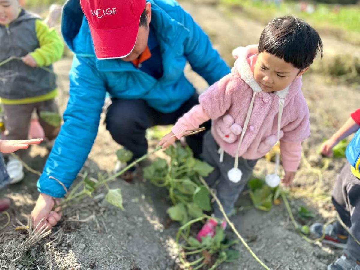 line_album_幼幼挖地瓜精選_260109_8