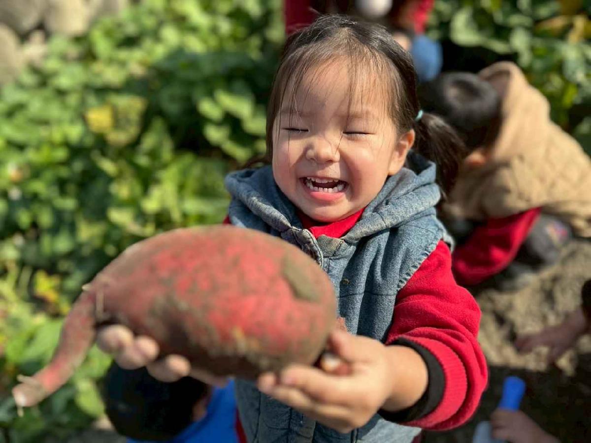 小小農夫出發囉~嘿咻嘿咻~地瓜在哪裡？？