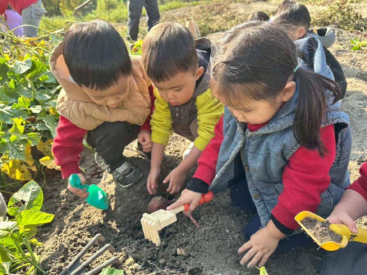 line_album_幼幼挖地瓜精選_260109_13