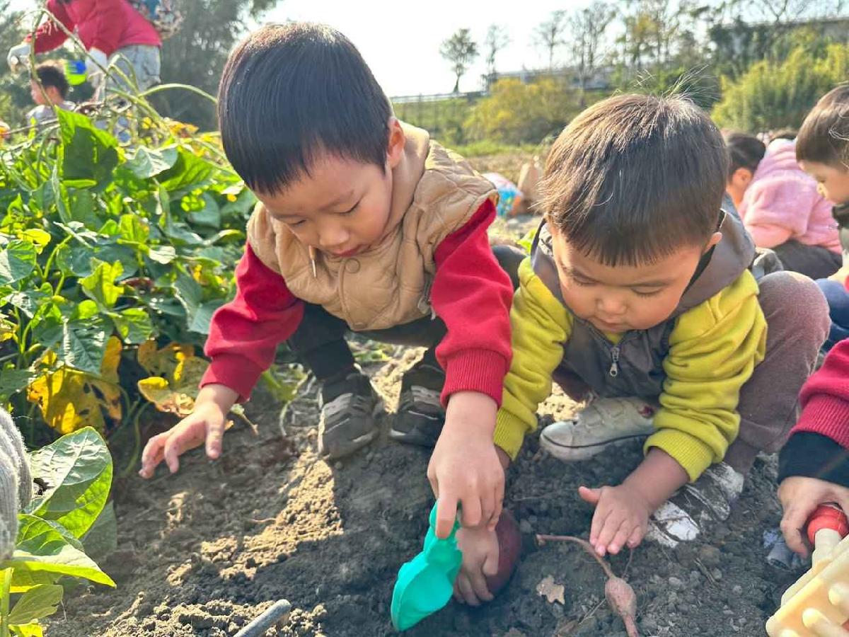 line_album_幼幼挖地瓜精選_260109_14