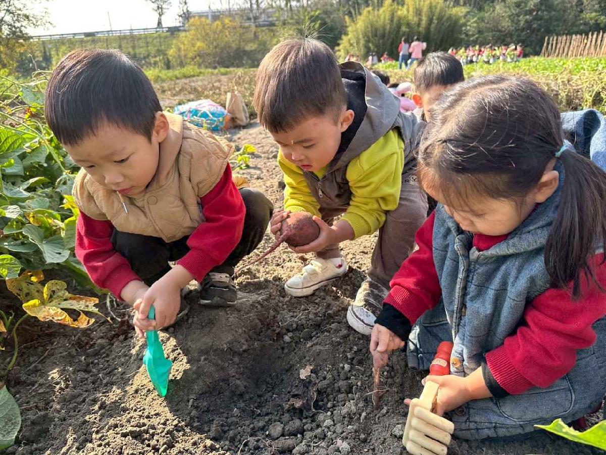 line_album_幼幼挖地瓜精選_260109_15