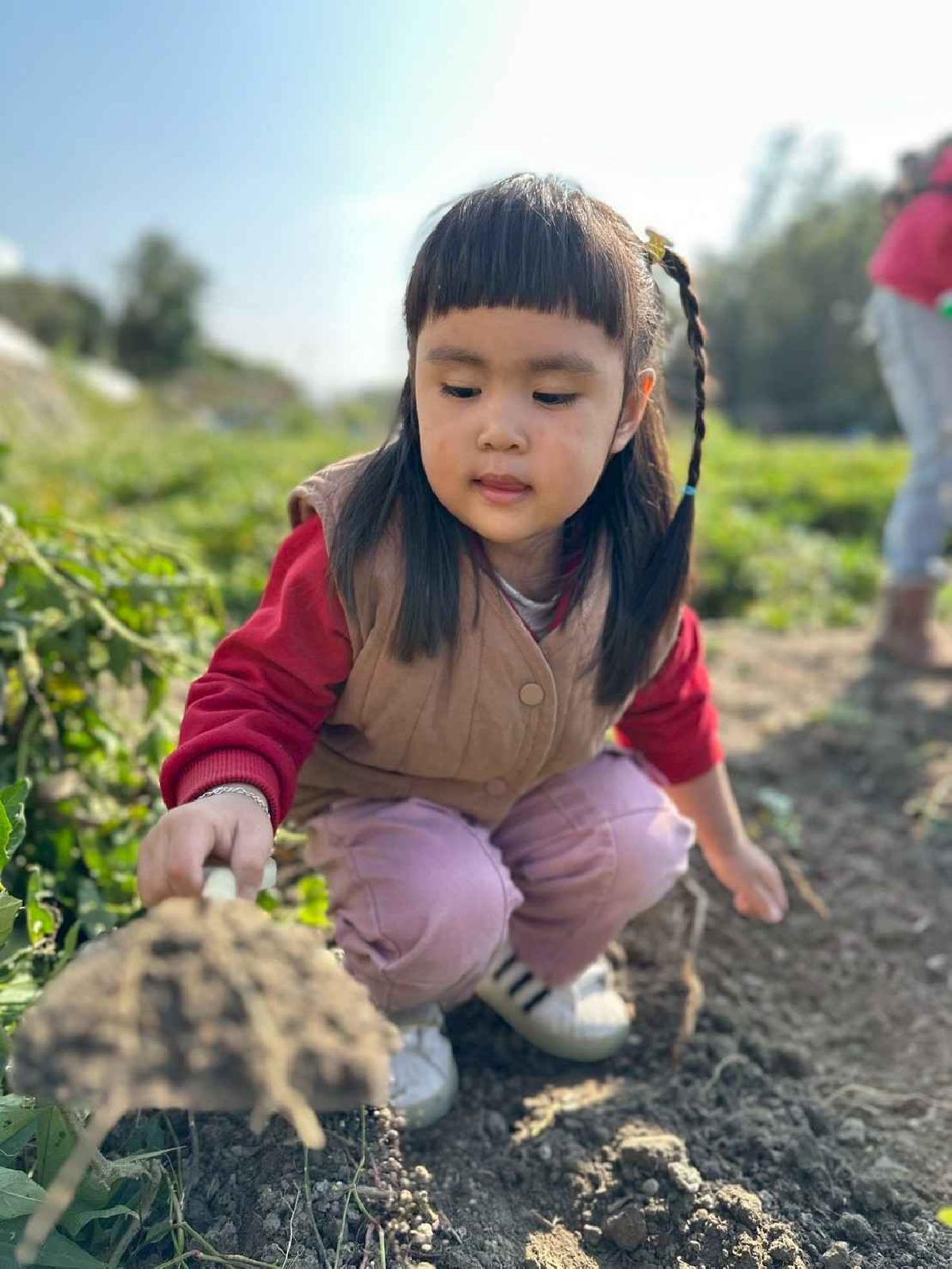 line_album_幼幼挖地瓜精選_260109_20