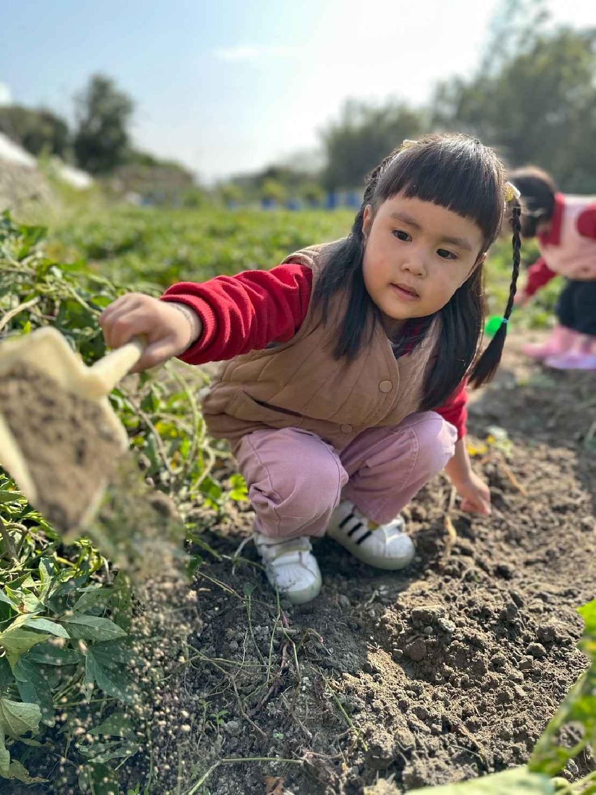 line_album_幼幼挖地瓜精選_260109_21