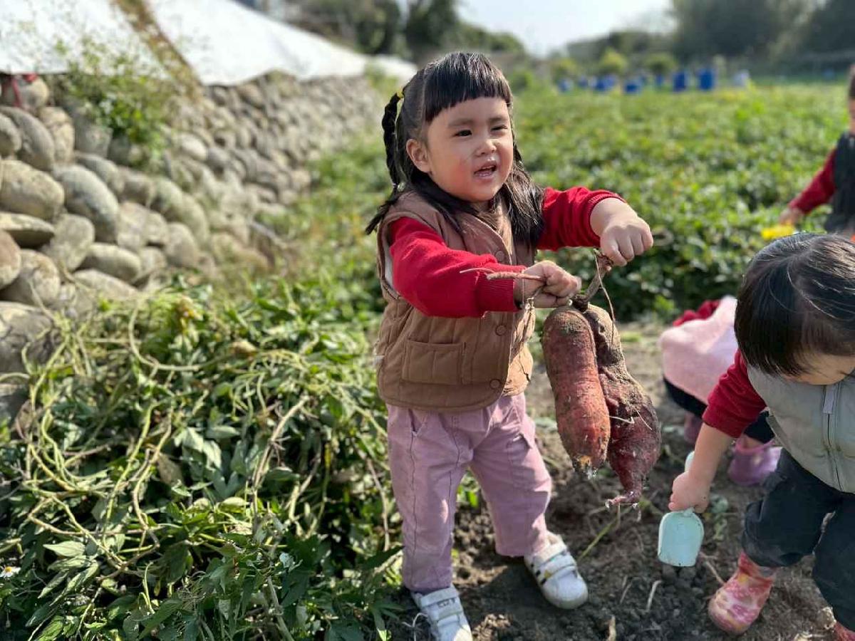 line_album_幼幼挖地瓜精選_260109_22