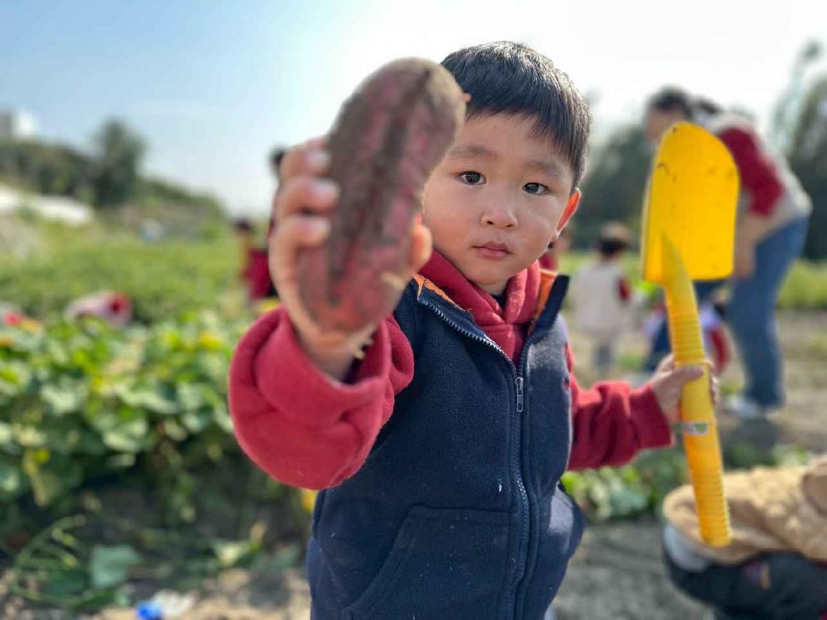 line_album_幼幼挖地瓜精選_260109_23