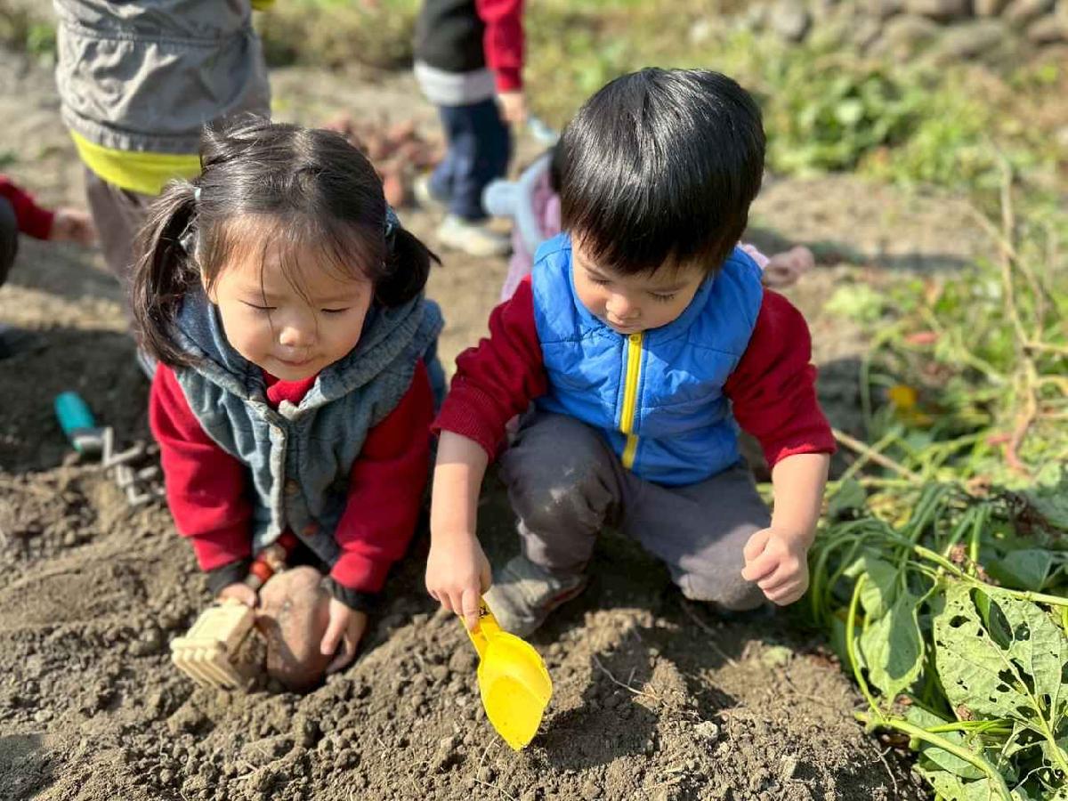line_album_幼幼挖地瓜精選_260109_25