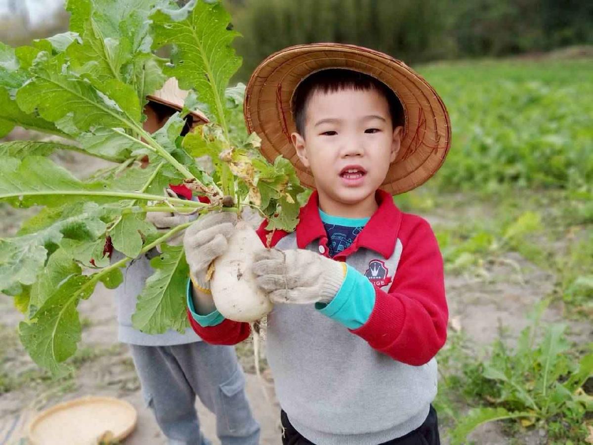 line_album_112拔蘿蔔趣_260112_58