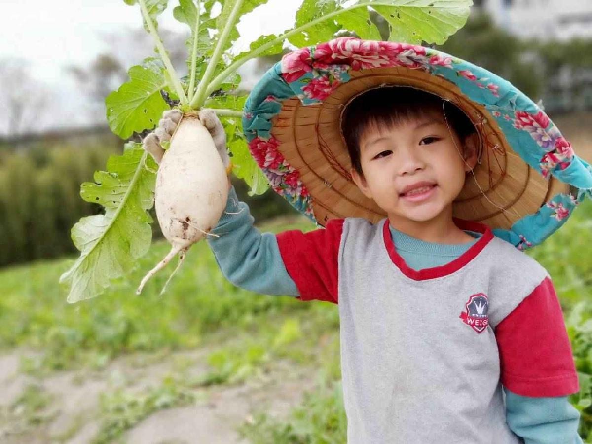 line_album_112拔蘿蔔趣_260112_60