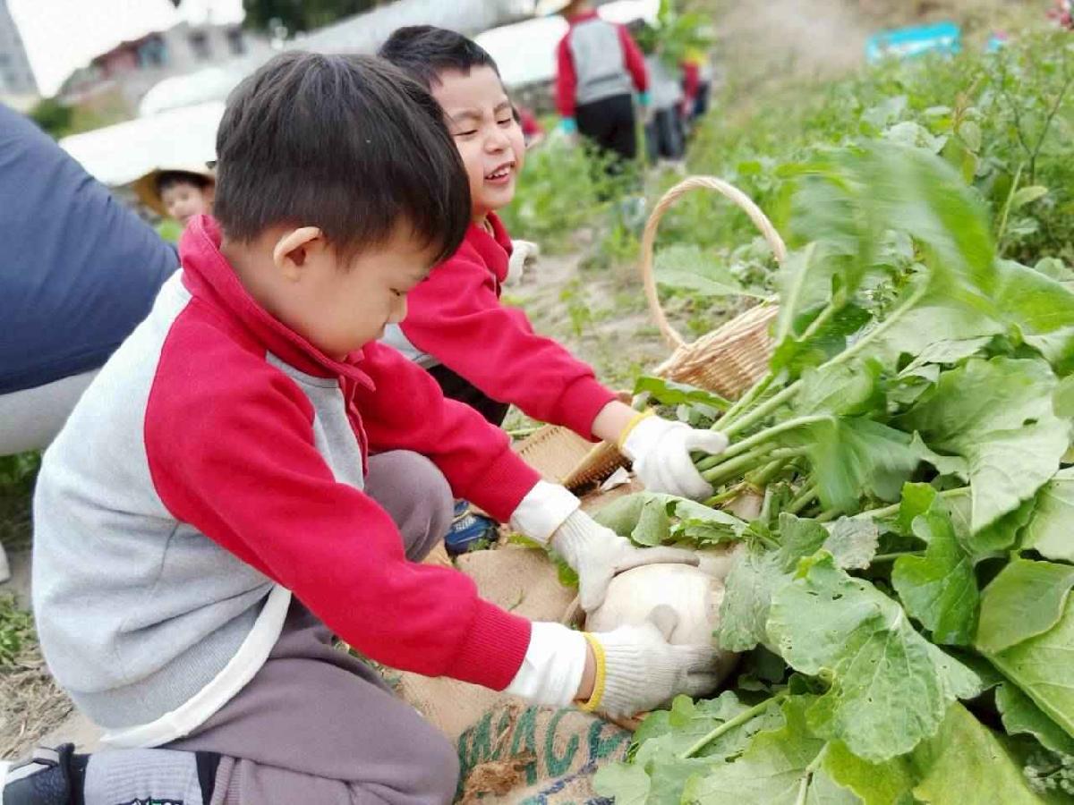 line_album_112拔蘿蔔趣_260112_62