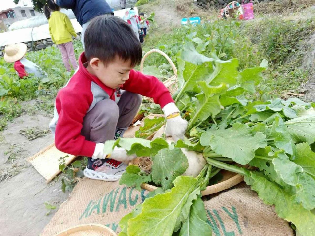 line_album_112拔蘿蔔趣_260112_64