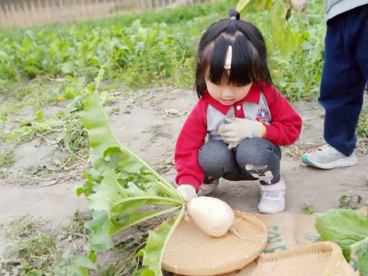 line_album_112拔蘿蔔趣_260112_66