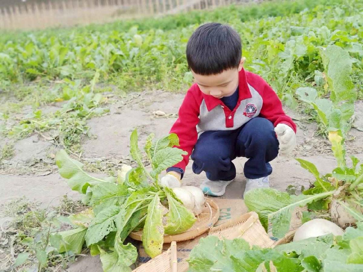 line_album_112拔蘿蔔趣_260112_68