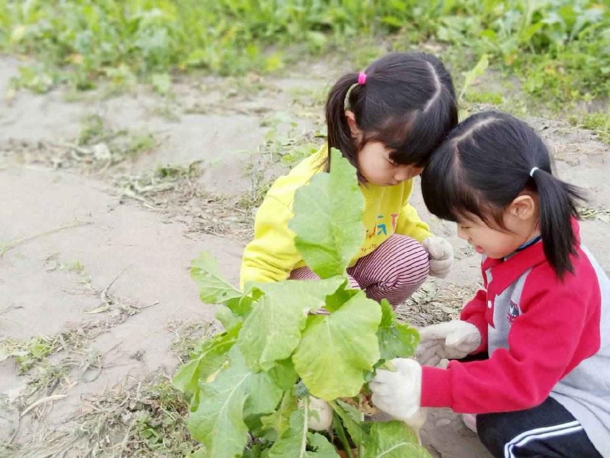 line_album_112拔蘿蔔趣_260112_71