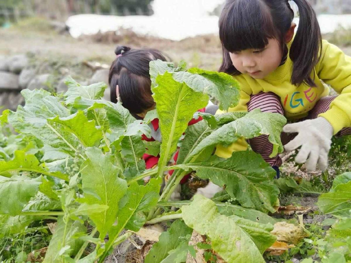 line_album_112拔蘿蔔趣_260112_74