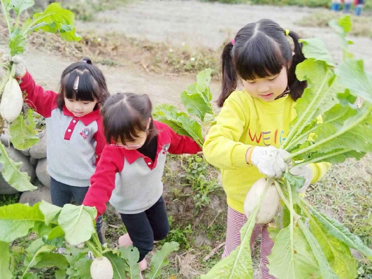 line_album_112拔蘿蔔趣_260112_76