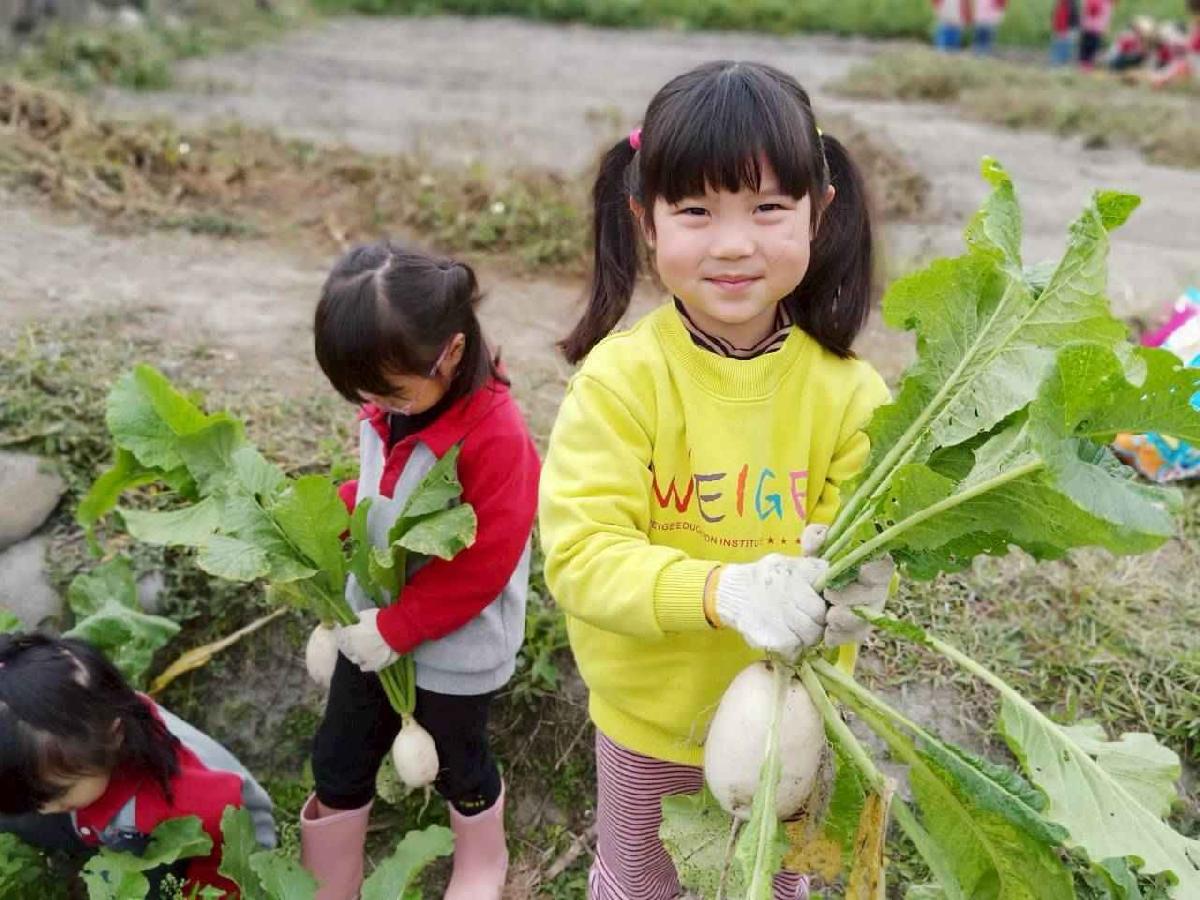 line_album_112拔蘿蔔趣_260112_79