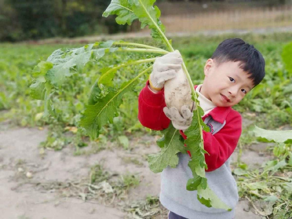 line_album_112拔蘿蔔趣_260112_81