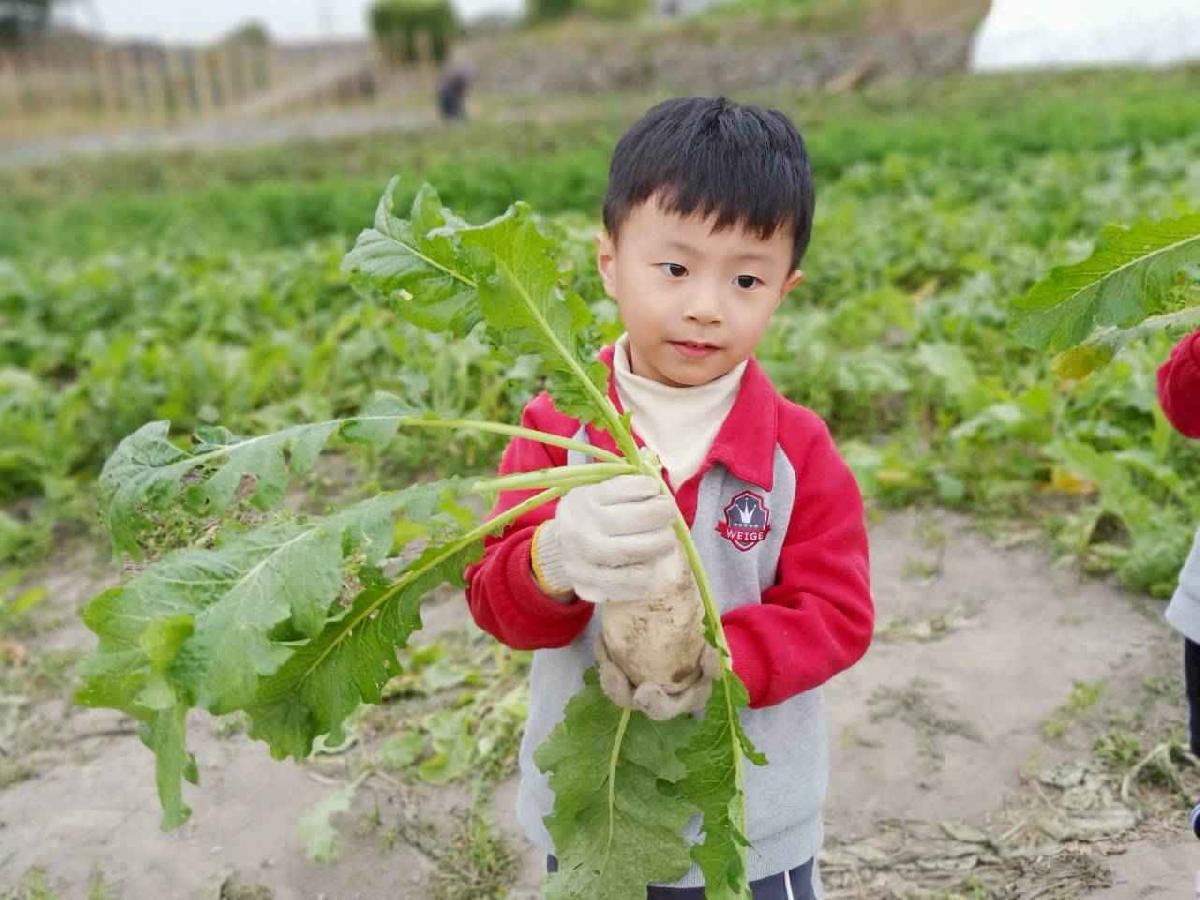 line_album_112拔蘿蔔趣_260112_82