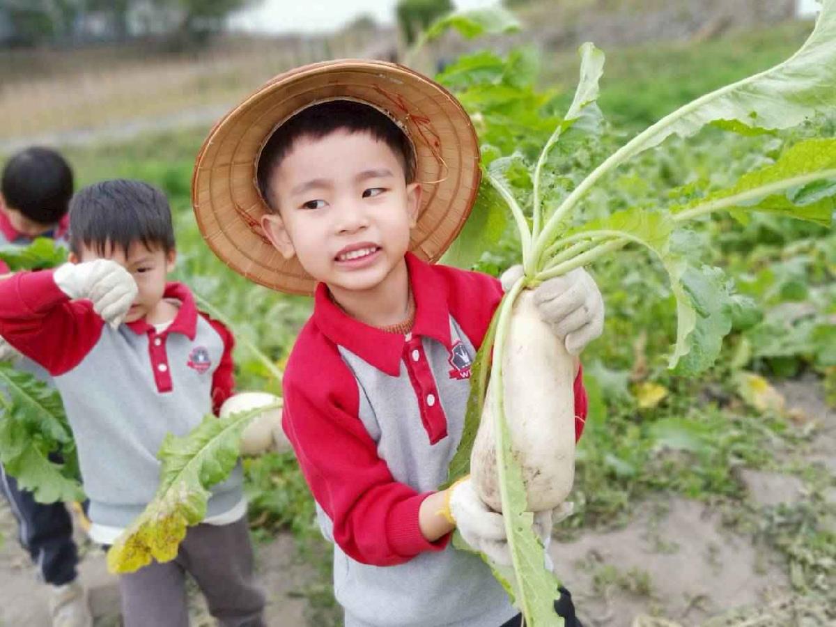 line_album_112拔蘿蔔趣_260112_85