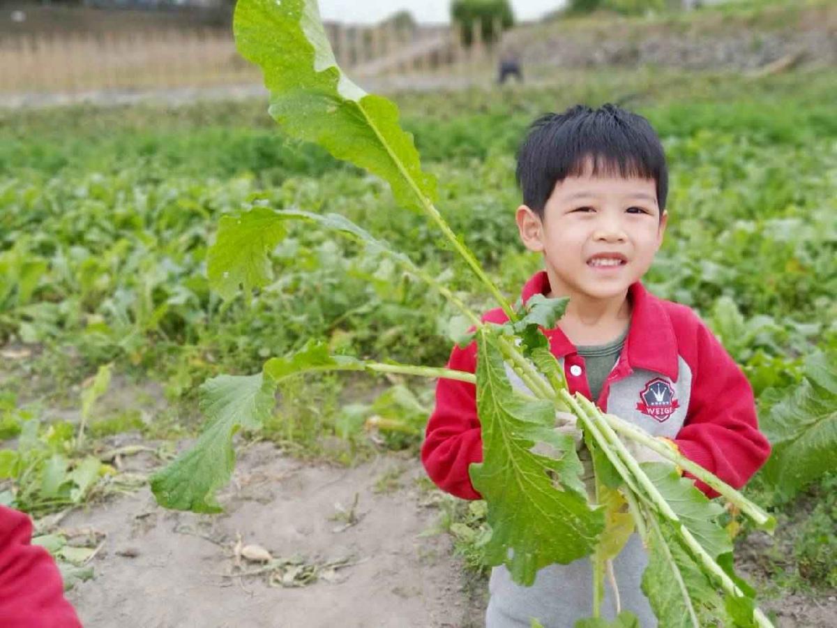 line_album_112拔蘿蔔趣_260112_86