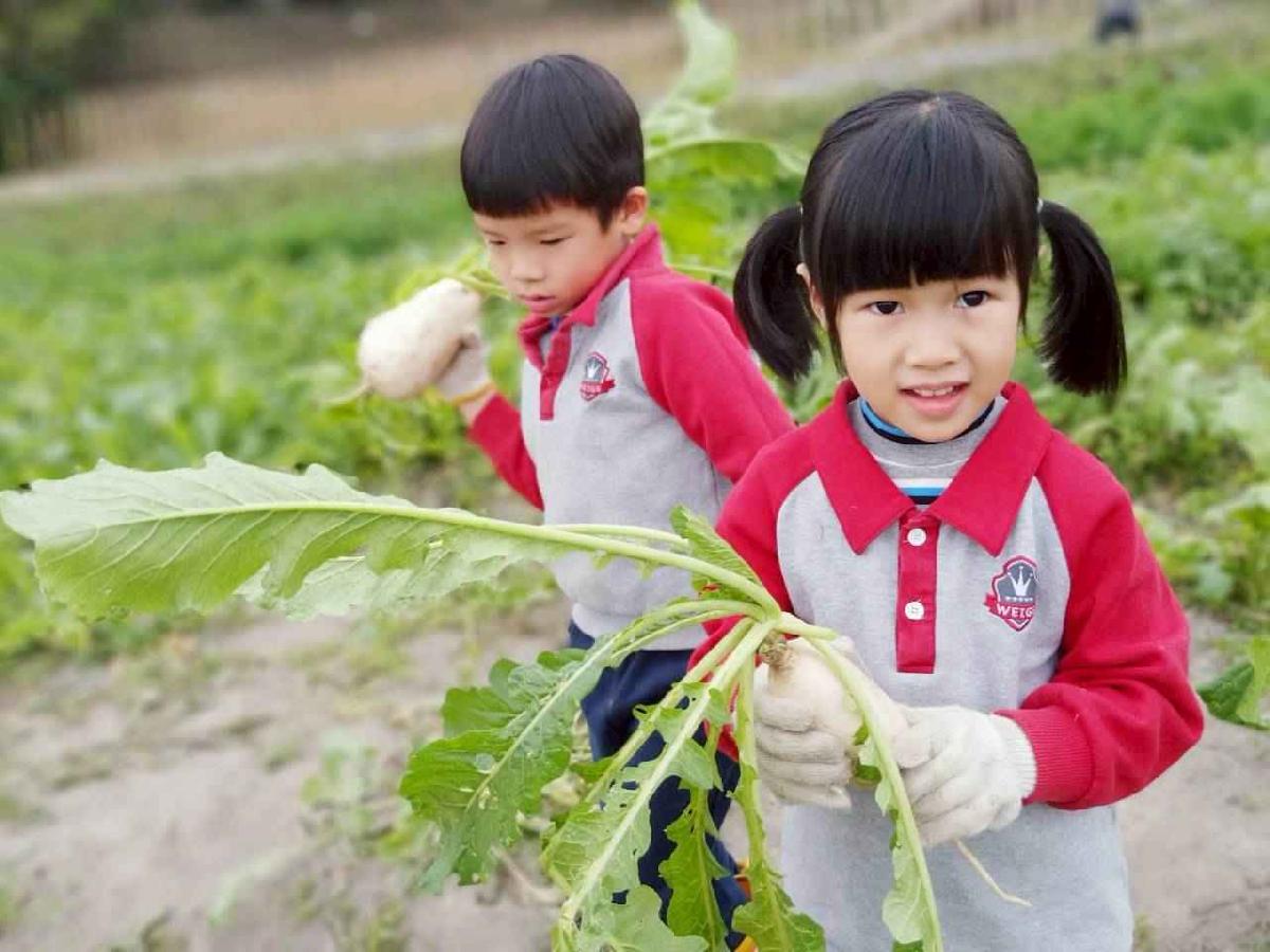 line_album_112拔蘿蔔趣_260112_87