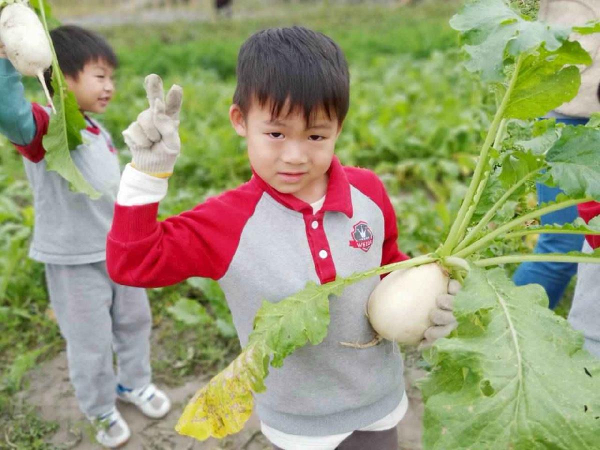 line_album_112拔蘿蔔趣_260112_88