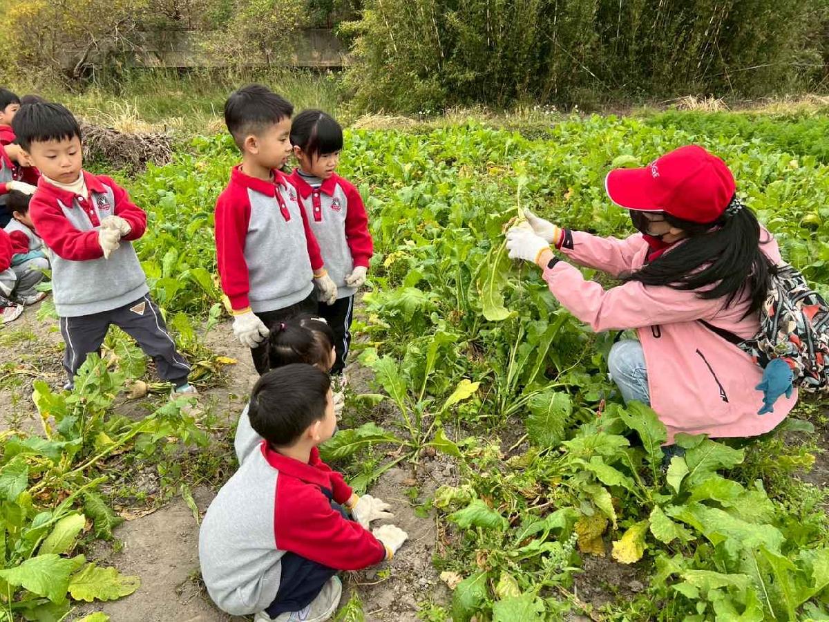 line_album_112拔蘿蔔趣01 (1)