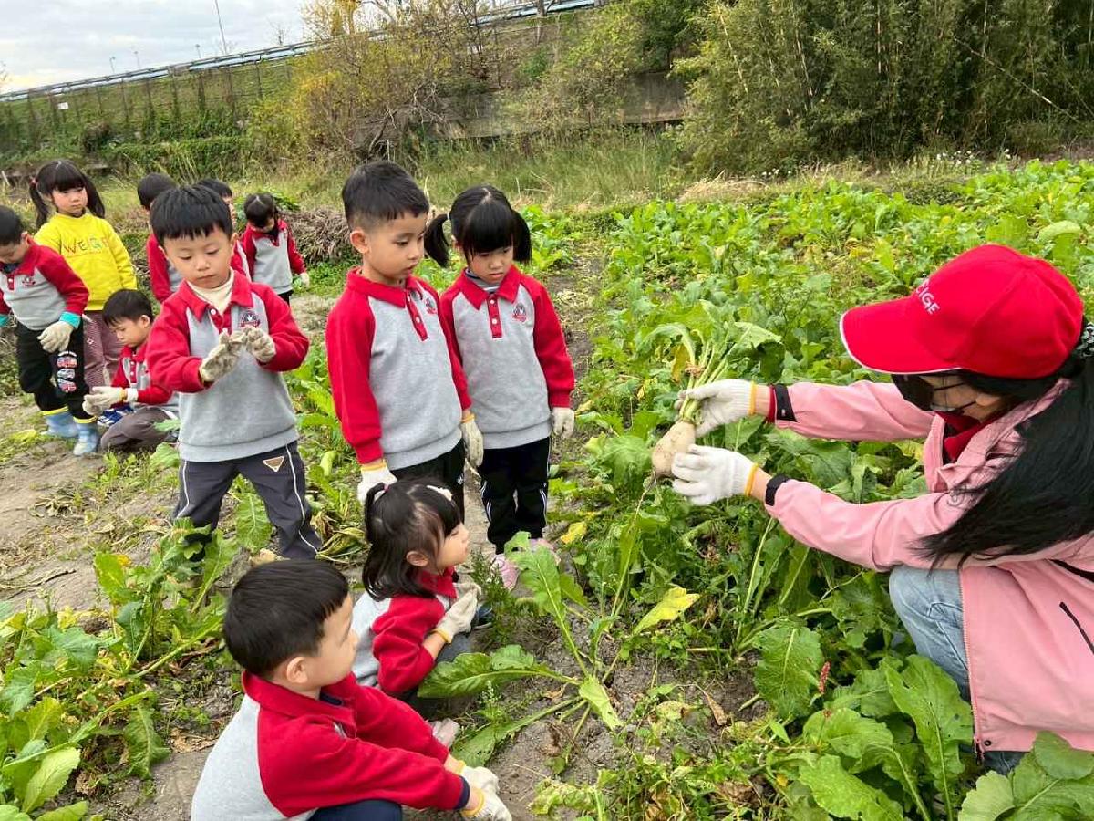 line_album_112拔蘿蔔趣01 (2)