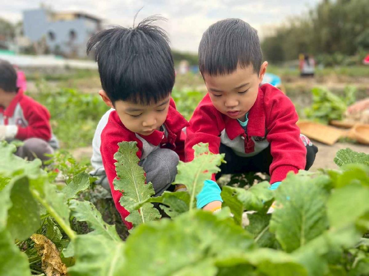 line_album_112拔蘿蔔趣02 (1)