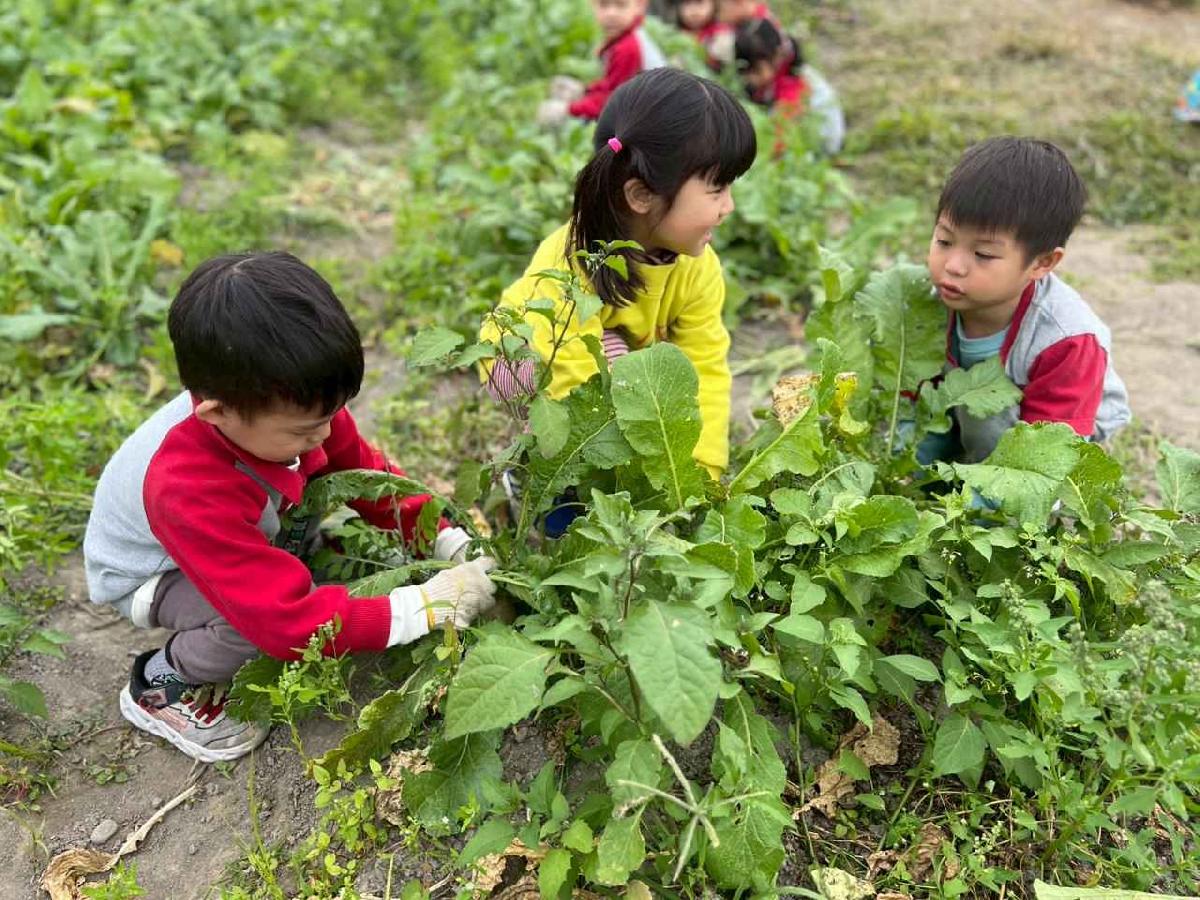 line_album_112拔蘿蔔趣02 (4)