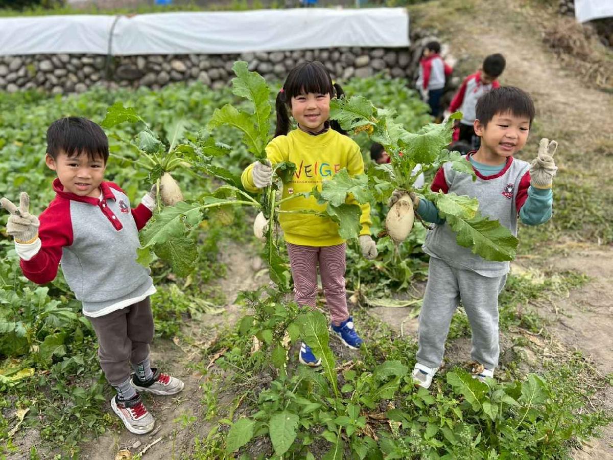 line_album_112拔蘿蔔趣02 (5)