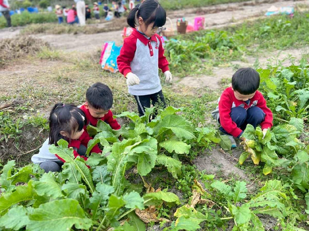 line_album_112拔蘿蔔趣02 (6)