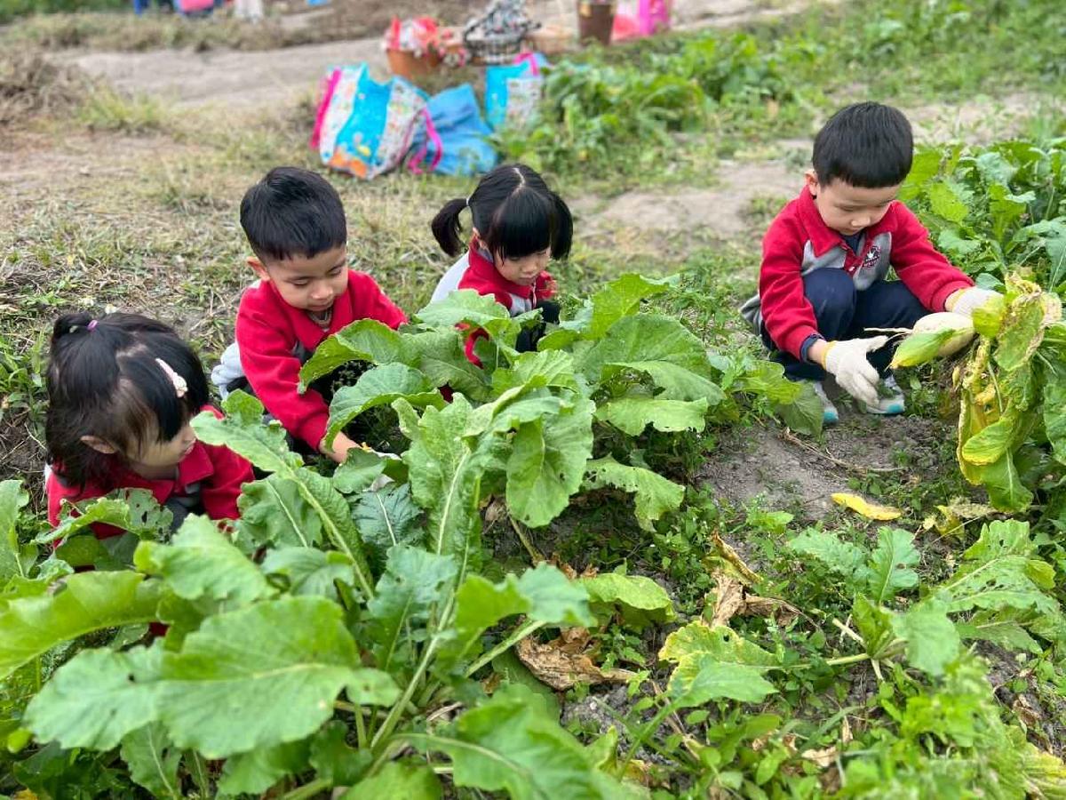 line_album_112拔蘿蔔趣02 (7)