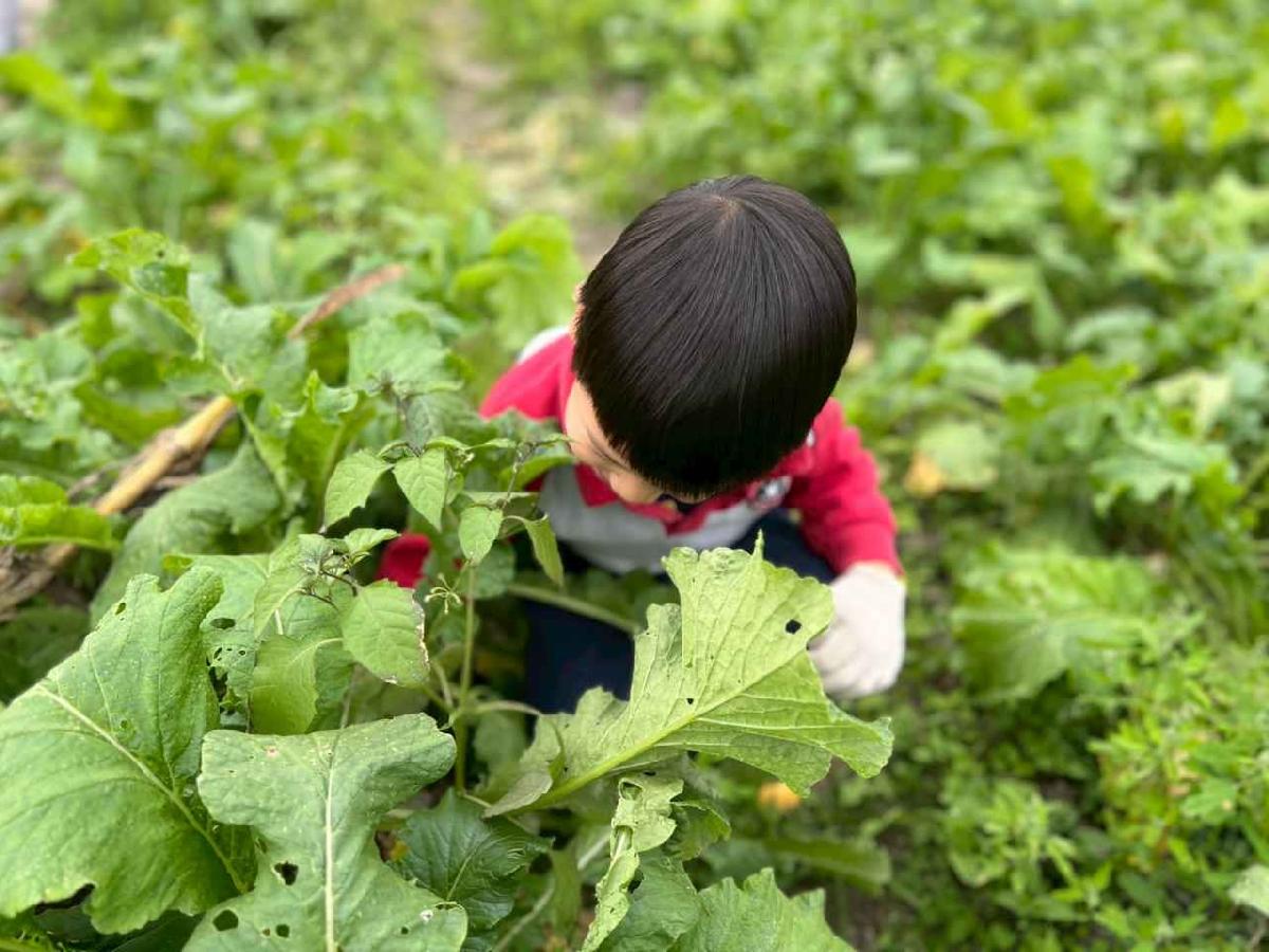 line_album_112拔蘿蔔趣02 (10)