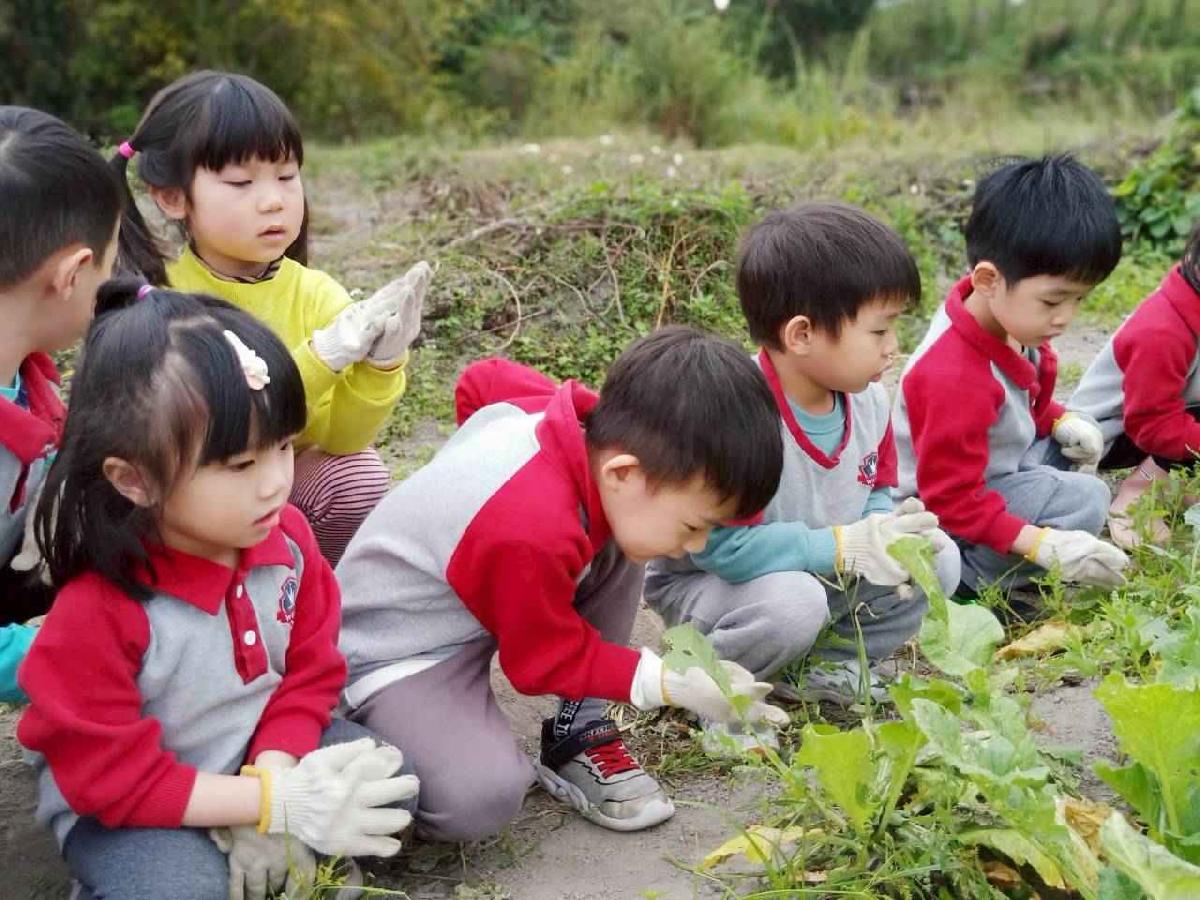 line_album_112拔蘿蔔趣0101 (3)