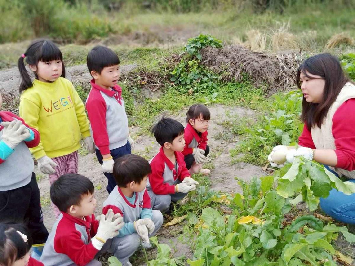 line_album_112拔蘿蔔趣0101 (4)