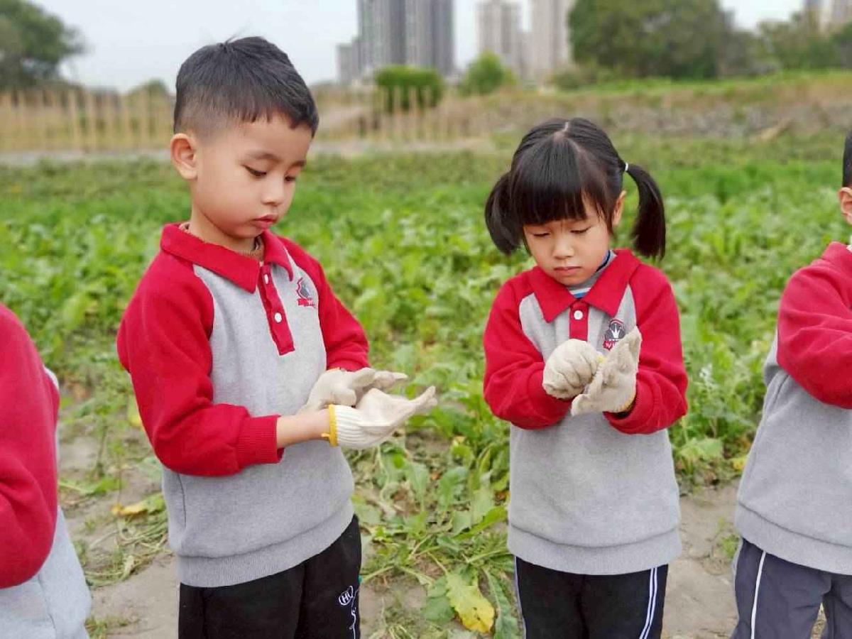 line_album_112拔蘿蔔趣_001 (4)