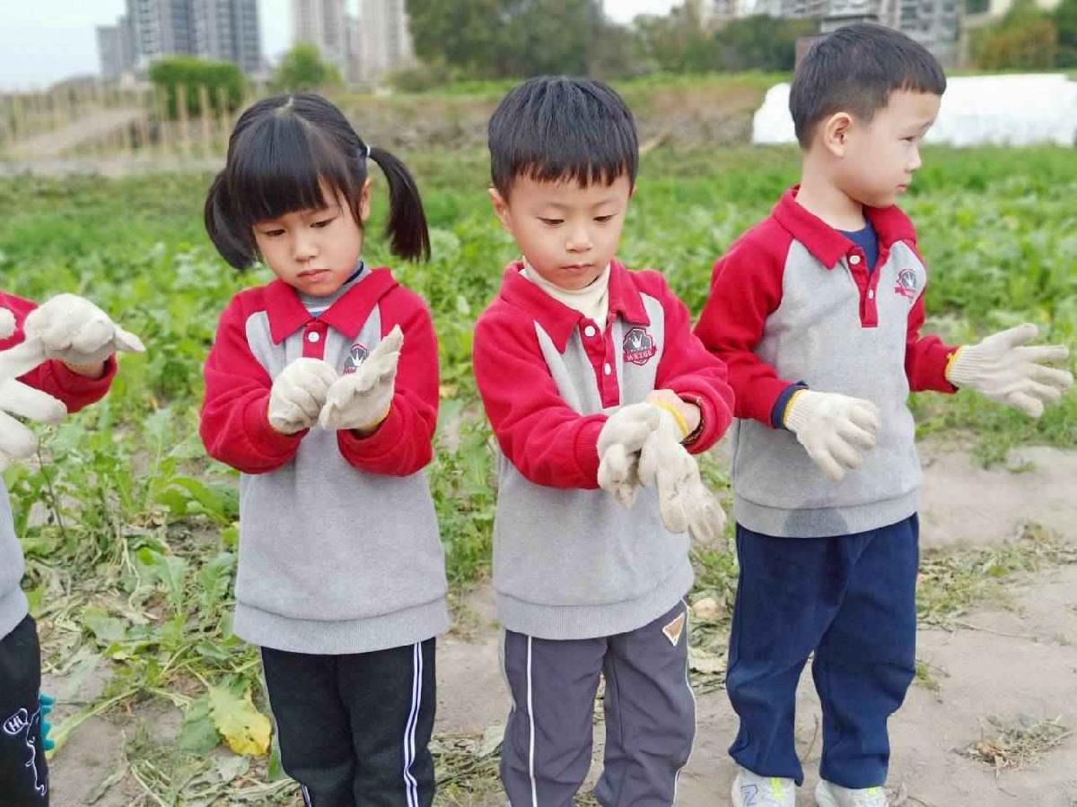 line_album_112拔蘿蔔趣_001 (5)