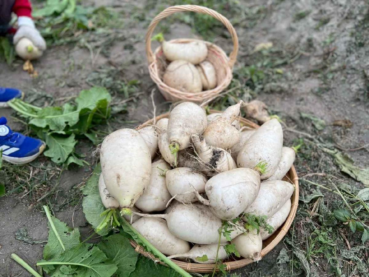 line_album_112拔蘿蔔趣_0202g (12)