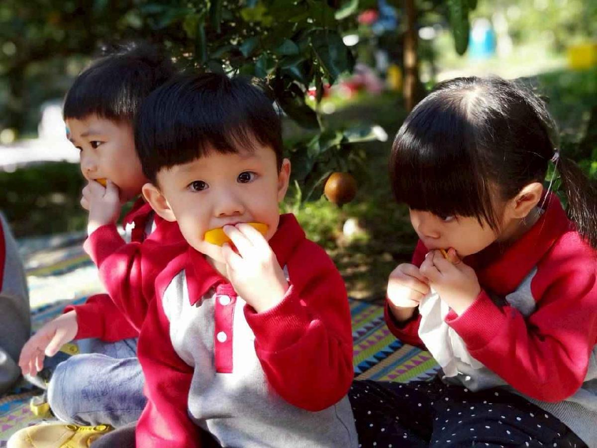 line_album_20260115柳丁大豐收_05 (1)