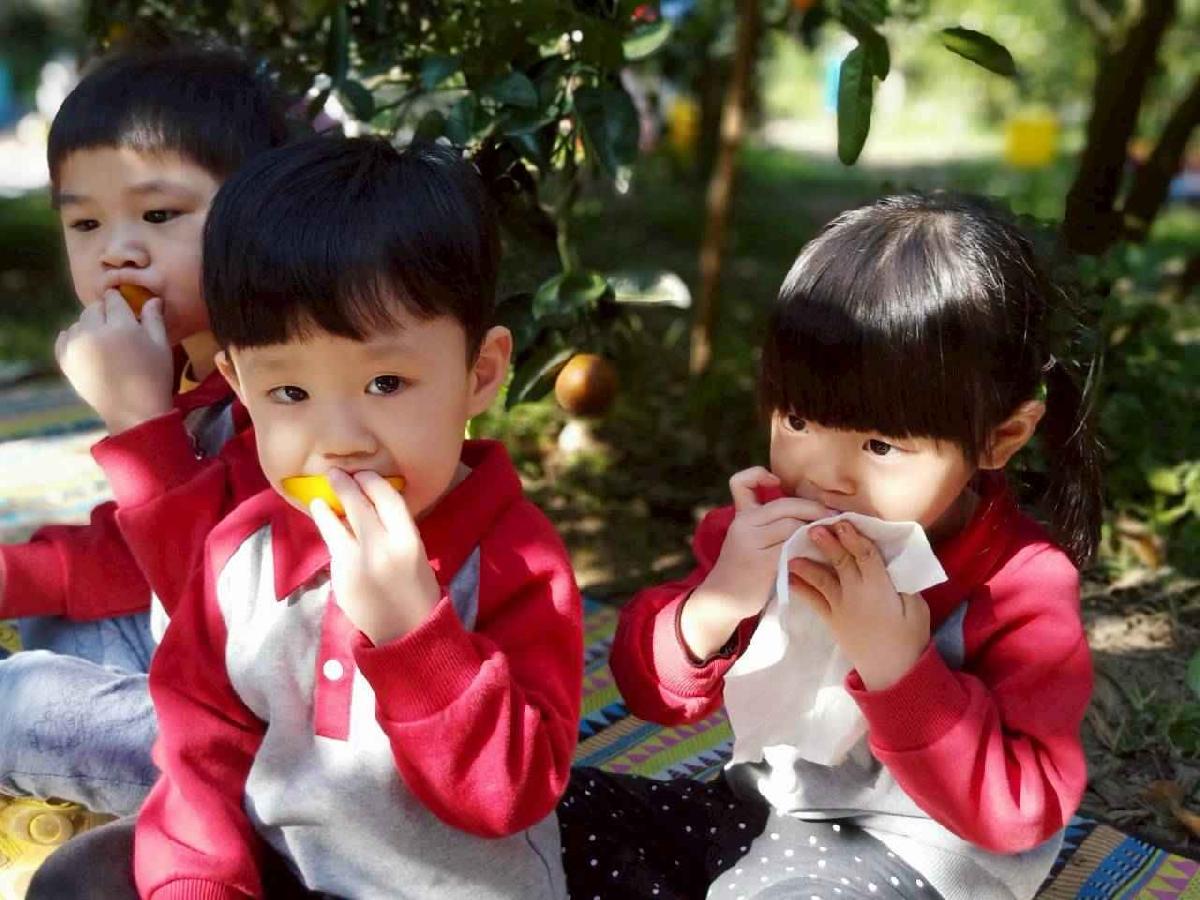 line_album_20260115柳丁大豐收_05 (3)