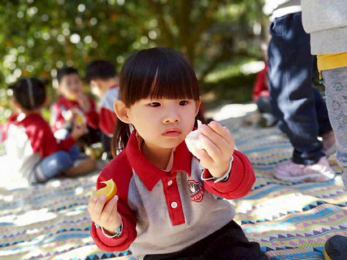 line_album_20260115柳丁大豐收_05 (5)