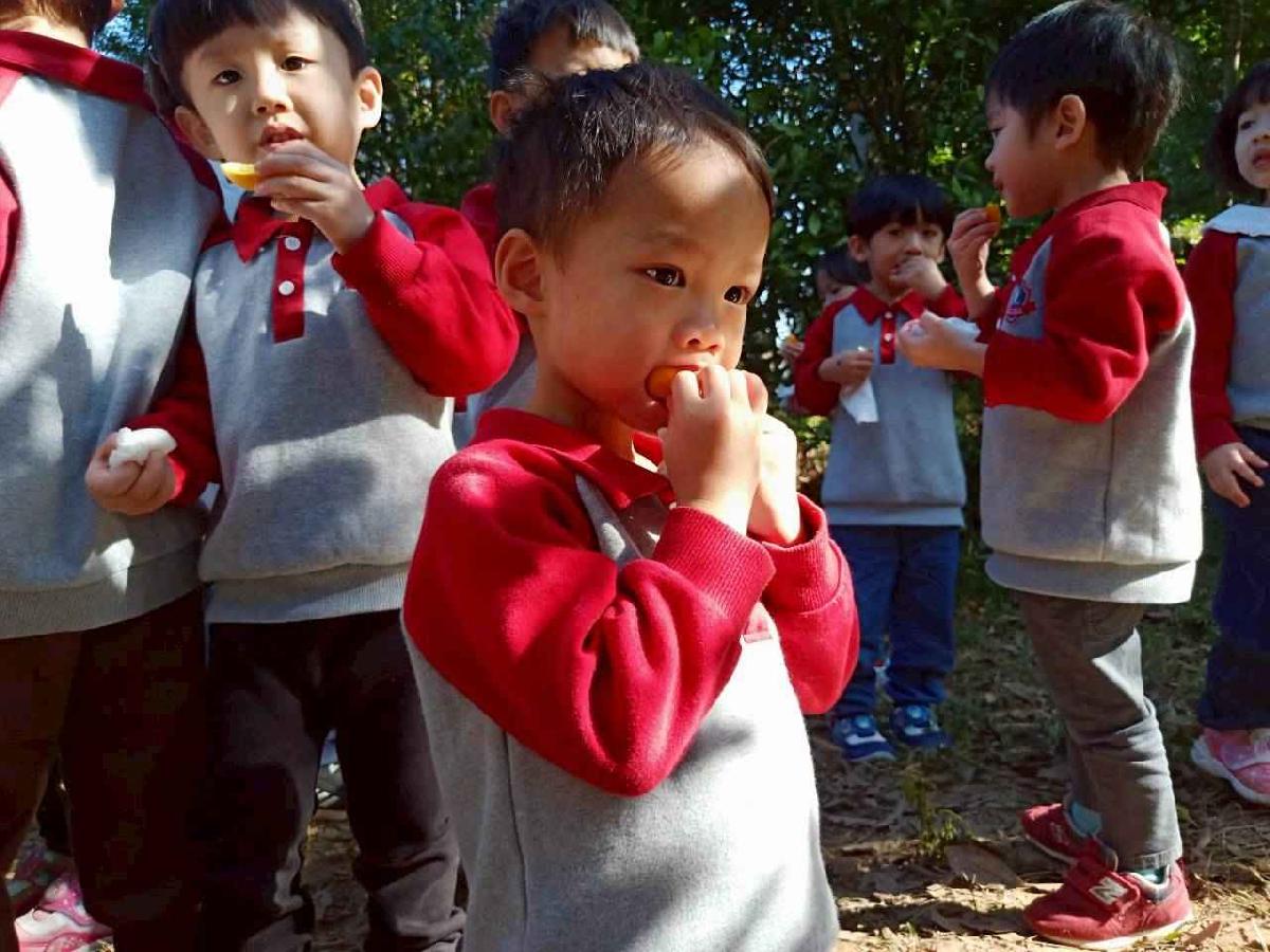 line_album_20260115柳丁大豐收_05 (8)