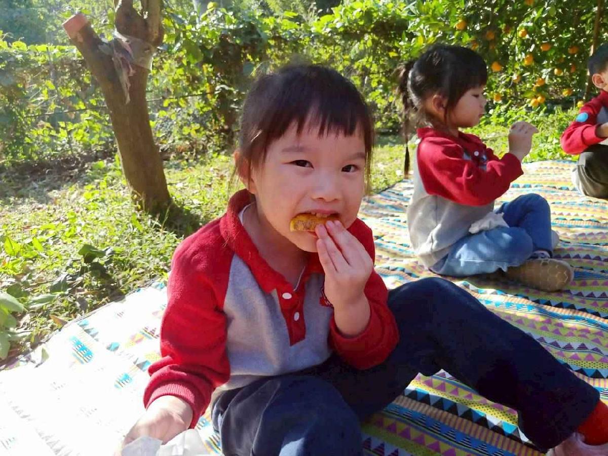 line_album_20260115柳丁大豐收_05 (11)